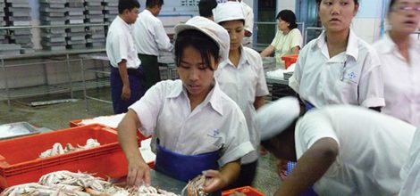 Marine Products Processing and Export Import Services