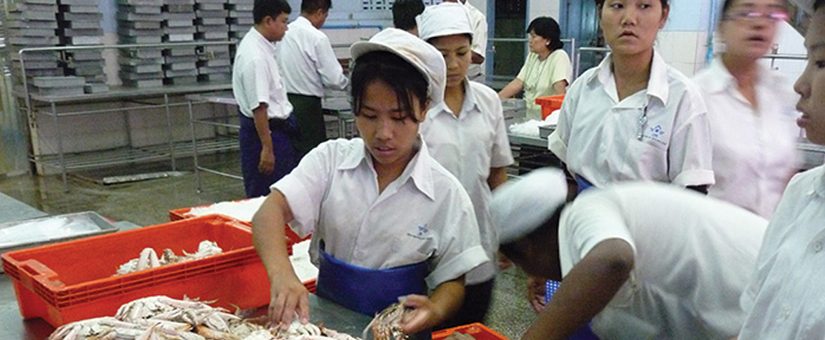 Marine Products Processing and Export Import Services